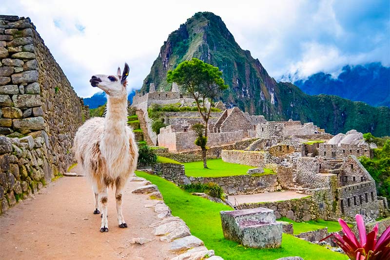 Kintu Perú Travel